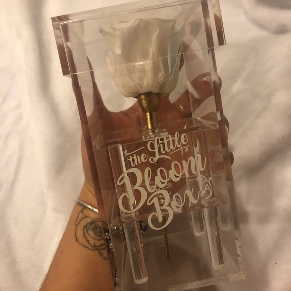 Forever Rose - Picture 5 of 7